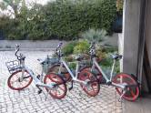 
Bicicletas disponíveis na villa para uso do cliente